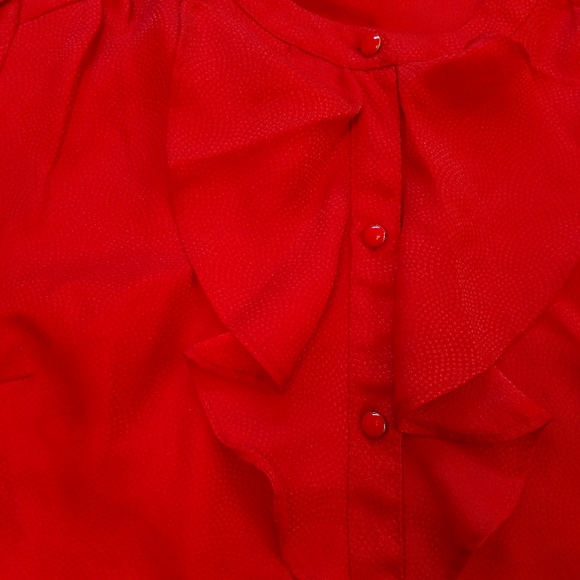 Fall Ruffled Blouse - Picture 4 of 11